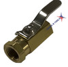 Champion Micro Ball valve - Cut Off Valve, 1/4" FNPT