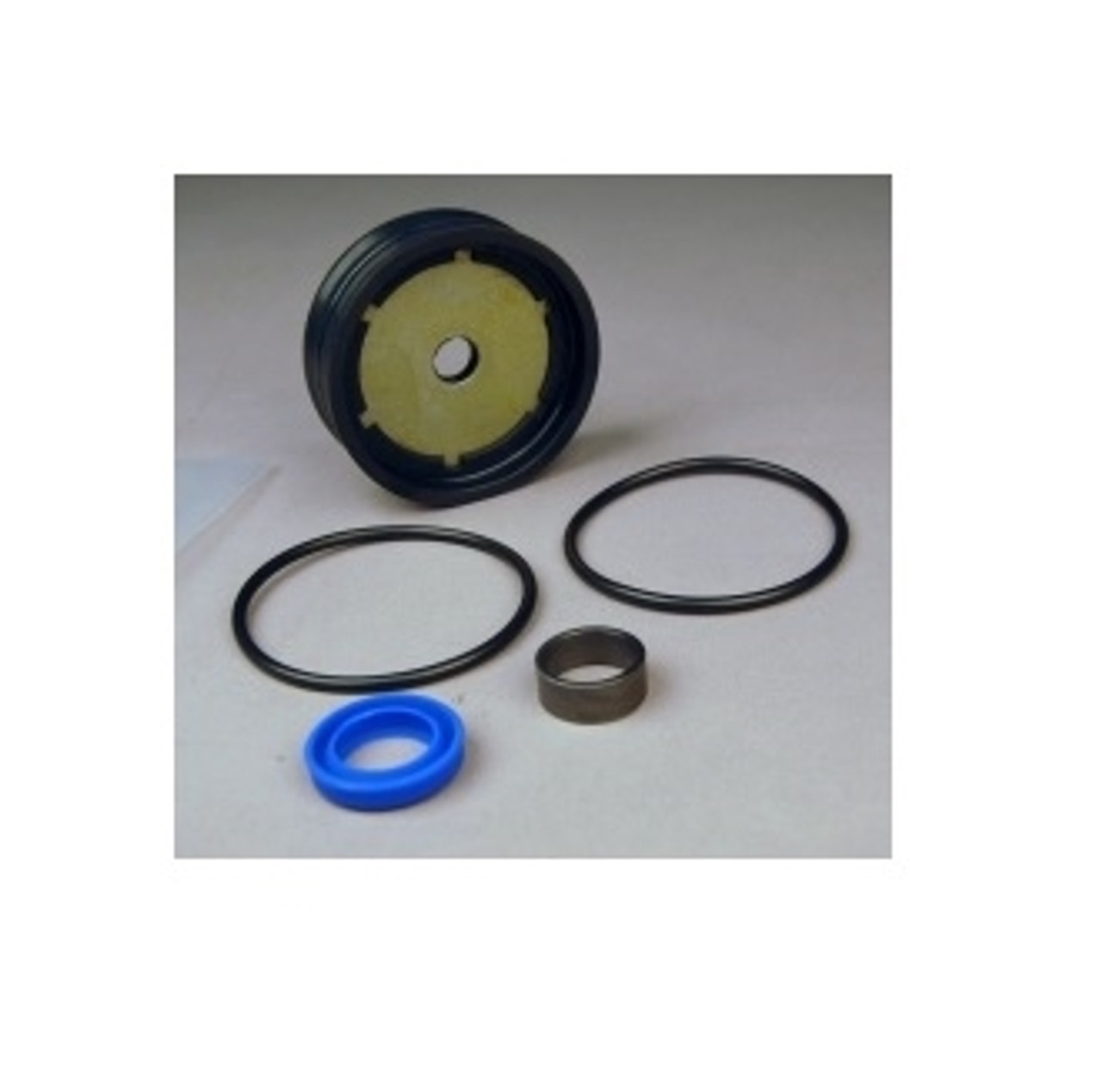 BW-1001-43 Clamping Cylinder Kit for SICE/Hofmann (Ref 2200600)