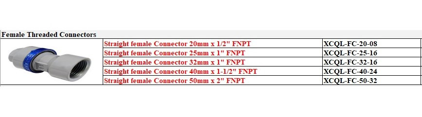 Champion Straight Female Threaded Connector Adapter 1
