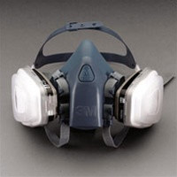 3M 37079 Large Professional Respirator