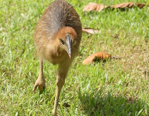 March 2026 in  Mission Beach