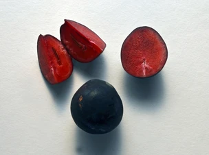 Explainer - Native Ingredients in Charley's Chocolate