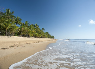 About the Cassowary Coast