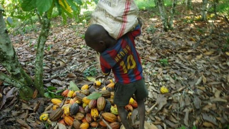 Cocoa Prices surge in 2024