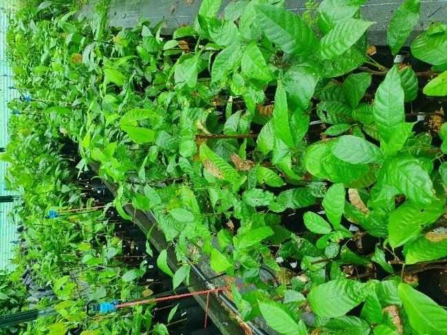 Company Activity Update Image