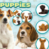 Adopt A Puppy Series 4 Vending Capsules (2-inch) 250 ct