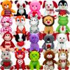Jumbo Generic Valentines #6 Plush Kit (40 ct) 12-inch