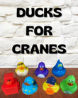 Small Duck Generic Crane Mix