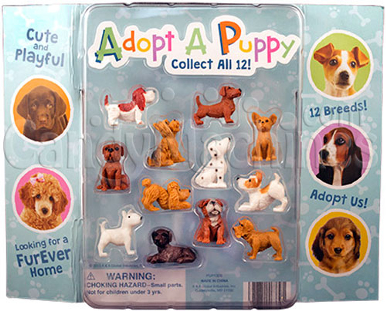 Adopt A Puppy Series 4 Vending Capsules (2-inch) 250 ct - CandyMachines.com