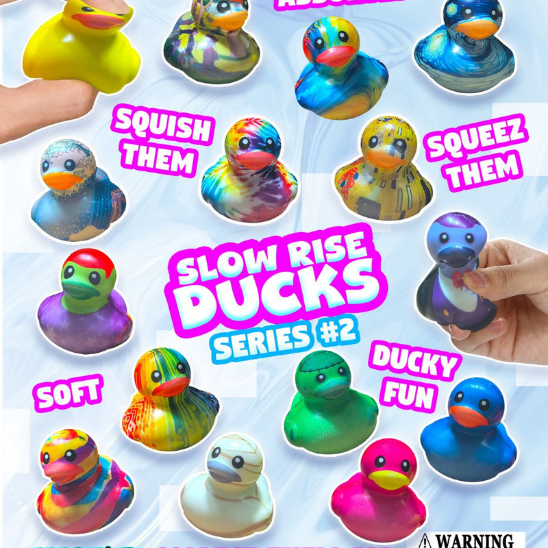Slow Rise Ducks square display