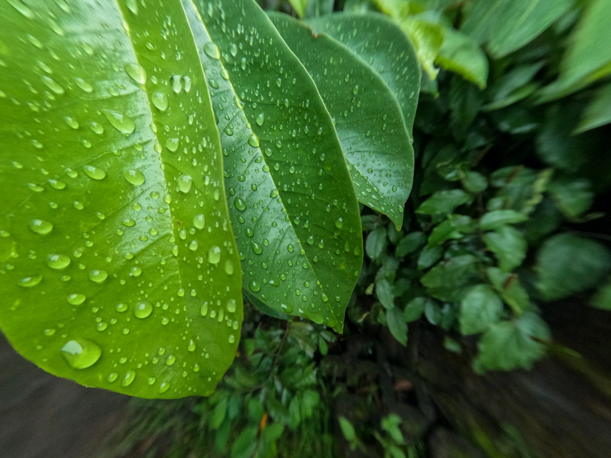 height = width / aspect-ratio