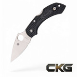 Spyderco Dragonfly 2 Lightweight Black PlainEdge C28PBK2