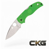 Spyderco Native 5 Salt Green LC200N C41PGR5