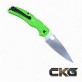 Spyderco Native Chief Lightweight Salt Green FRN LC200N C244PGR - View 2