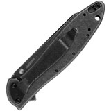 Kershaw Leek - Random Blackwash 1660RBW