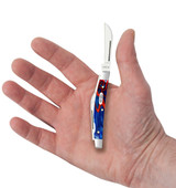 CASE SMOOTH PATRIOTIC KIRINITE® SMALL CONGRESS