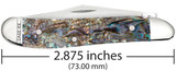 CASE SMOOTH ABALONE PEANUT