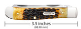 CASE ROGERS JIGGED BURNT AMBER BONE CS MINI TRAPPER