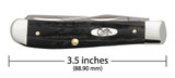 CASE JIGGED BUFFALO HORN MINI TRAPPER