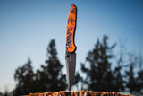 Protech Knives Peace Neighbor Avalon Del Fuego, DLC Magnacut PN1104-DF
