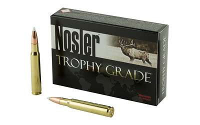 NOSLER 30-06 165GR AB 20/200 RSR|NOS60057