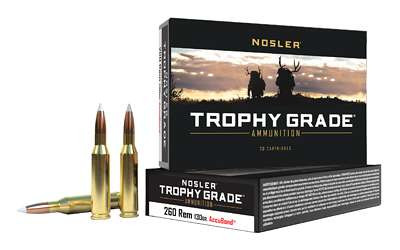 NOSLER TGA 260 REM 130GR AB 20/200 RSR|NOS60024