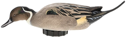Avian X AVXPSHPNSF Power Shaker Pintail Surface Feeder Duck Decoy Multi-Color TSW|158290