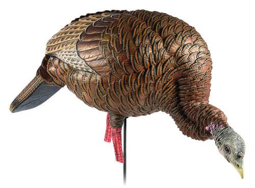 Avian X AVXAVX8107 HDR Feeder Hen Turkey Species Multi-Color TSW|145400