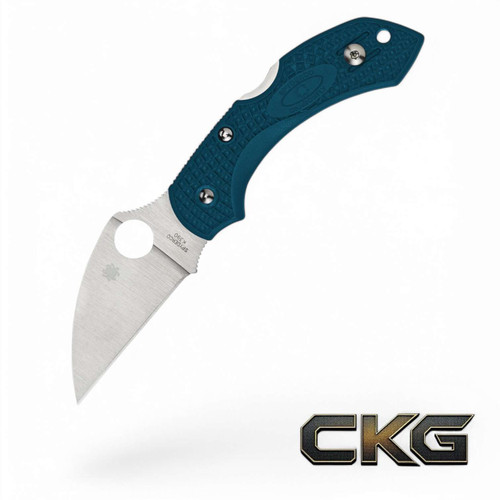 Spyderco Dragonfly 2 Wharncliffe K390 C28FP2WK390