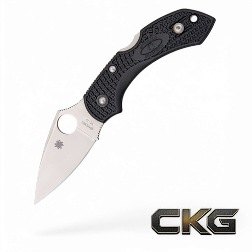Spyderco Dragonfly 2 Lightweight Black PlainEdge C28PBK2