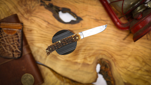 CASE AMBER BONE PEACH SEED JIG SOD BUSTER JR