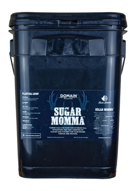 DOMAIN SMFP325     SUGAR MOMMA