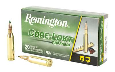 REM 243WIN 95GR CLOK TIPPED 20/200 RSR|REM29015