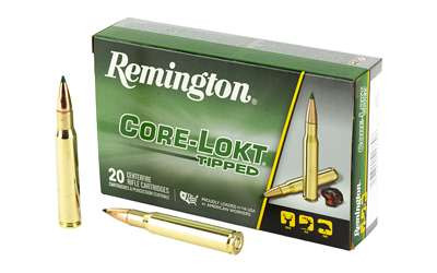 REM 30-06SPRG 180GR CL TIPPED 20/200 RSR|REM29037