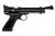 Daisy 2240 2240 Black Polymer CO2 22 Cal, Single Shot Bolt Action TSW|186071