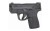 S&W SHIELD PLUS 9MM 3.1" NTS 10RD OR RSR|SW13558