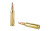 Hornady American Whitetail .243 Win 100 gr InterLock BTSP, 20 Rounds 8047