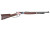 HENRY H10 AMERICA 250 45-70 22" 4RD RSR|HENH010BG-250
