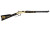 HENRY H4 TEXAS EDITION 22LR 20" 16RD RSR|HENH004TX