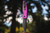 PRO-TECH TR-3 INTEGRITY LIMITED MANUAL PURPLE MAGNACUT INT1103-LTD