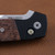 ProTech Terzuola ATCF Auto - Black handle Maple Burl inlays 2024 ATCF Custom 004 2024-ATCF-Custom-004