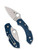 SPYDERCO DRAGONFLY 2 COBALT BLUE FRN CPM SPY27 PLAINEDGE C28PCBL2