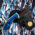 HERETIC KNIVES MEDUSA MANUAL TANTO EDGE STANDARD BLUE CHASSIS WITH TACTICAL HARDWARE H009-6A-BLU