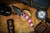 Heretic Knives Medusa Candy Cane G-10 Auto Tanto DLC Magnacut H011-6A-CANDY