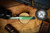 HERETIC KNIVES MANTICORE S RECURVE CEL SHADE TOXIC GREEN H025F-CS-TX