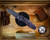Benchmade Mini-Barrage Gold Class Purple Haze Assisted Opening 585BK-251-U