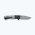 BENCHMADE PSK, AXIS LOCK ASSIST, DROP POINT 593GY-02