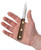 Case Household Cutlery 3" Clip Point Paring Knife (Solid Walnut) 07320