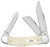 CASE SMOOTH NATURAL BONE SOWBELLY