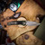 Wraith V4 Auto Single edge Bronze OD green Chassis H000-7A-GRN